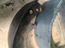Filename : IMG_0068.JPG
Filesize : 767KB
Dimensions : 1750x1313
Date added : Jul 07, 2018 IMG_0068.JPG