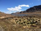 Filename : IMG_0693.JPG
Filesize : 1196KB
Dimensions : 1750x1313
Date added : May 14, 2018 IMG_0693.JPG