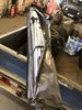 Filename : IMG_0696.jpg
Filesize : 1397KB
Dimensions : 1750x2333
Date added : Feb 19, 2019 IMG_0696.jpg