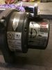 Filename : IMG_5693.JPG
Filesize : 738KB
Dimensions : 1750x2333
Date added : Jan 20, 2018 IMG_5693.JPG