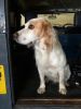 Filename : IMG_8866.JPG
Filesize : 541KB
Dimensions : 1750x2333
Date added : Sep 11, 2016 IMG_8866.JPG