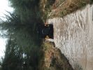 Filename : IMG_0629.JPG
Filesize : 1373KB
Dimensions : 3264x2448
Date added : Jan 10, 2016 IMG_0629.JPG