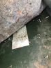 Filename : IMG_0956.JPG
Filesize : 115KB
Dimensions : 480x640
Date added : Jan 30, 2017 IMG_0956.JPG