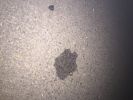 Filename : IMG_0322.jpg
Filesize : 1598KB
Dimensions : 3264x2448
Date added : Dec 01, 2014 IMG_0322.jpg