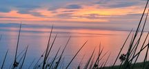 IMG_20220717_221651~0.jpg