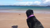 Filename : 20180829_125643.jpg
Filesize : 638KB
Dimensions : 1750x984
Date added : Nov 12, 2019 20180829_125643.jpg
