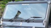 Filename : Air intake.JPG
Filesize : 19KB
Dimensions : 476x264
Date added : Nov 28, 2019 Air intake.JPG