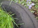 Filename : BFG15.jpg
Filesize : 1763KB
Dimensions : 3264x2448
Date added : Apr 24, 2014 BFG15.jpg