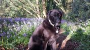 Filename : Blu.jpg
Filesize : 863KB
Dimensions : 1750x984
Date added : May 04, 2016 Blu.jpg
