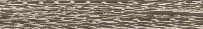 Filename : Defender Tribute Sandtracks.jpg
Filesize : 193KB
Dimensions : 2178x319
Date added : Jul 26, 2015 Defender Tribute Sandtracks.jpg