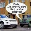 Filename : Dude.JPG
Filesize : 40KB
Dimensions : 506x503
Date added : Sep 14, 2018 Dude.JPG