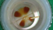 Filename : HLOil2.jpg
Filesize : 452KB
Dimensions : 1750x984
Date added : Jan 24, 2022 HLOil2.jpg