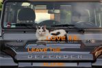 Filename : LOVEME.jpg
Filesize : 267KB
Dimensions : 1750x1167
Date added : Jun 24, 2016 LOVEME.jpg