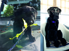 Filename : My12.jpg
Filesize : 3193KB
Dimensions : 1537x1133
Date added : Feb 25, 2019 My12.jpg