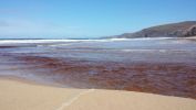 Filename : NC50.jpg
Filesize : 806KB
Dimensions : 1750x984
Date added : Sep 12, 2018 NC50.jpg