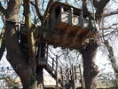 Filename : TH.jpg
Filesize : 1103KB
Dimensions : 1750x1313
Date added : Mar 24, 2020 TH.jpg