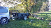 Filename : Tree1.jpg
Filesize : 1546KB
Dimensions : 1750x984
Date added : Nov 24, 2020 Tree1.jpg