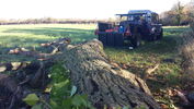 Filename : Tree2.jpg
Filesize : 1177KB
Dimensions : 1750x984
Date added : Nov 24, 2020 Tree2.jpg