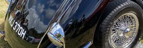 Filename : bestinshow.JPG
Filesize : 175KB
Dimensions : 1473x500
Date added : Jun 27, 2022 bestinshow.JPG