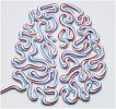 Filename : brain.JPG
Filesize : 63KB
Dimensions : 488x458
Date added : Mar 09, 2016 brain.JPG