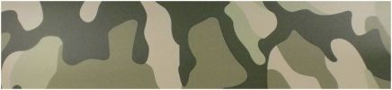 Filename : camouflage.JPG
Filesize : 17KB
Dimensions : 725x166
Date added : Apr 10, 2017 camouflage.JPG