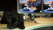 Filename : mylaatwork.jpg
Filesize : 320KB
Dimensions : 1750x984
Date added : Nov 10, 2016 mylaatwork.jpg