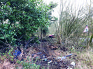 Filename : rr1.jpg
Filesize : 6301KB
Dimensions : 1750x1312
Date added : Feb 16, 2020 rr1.jpg