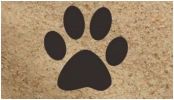 Filename : sandypaw.jpg
Filesize : 19KB
Dimensions : 343x197
Date added : Jul 15, 2015 sandypaw.jpg