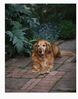 Filename : Capture~7.JPG
Filesize : 46KB
Dimensions : 523x664
Date added : May 12, 2020 Capture~7.JPG