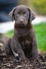 Filename : DSC_3244low rez.jpg
Filesize : 288KB
Dimensions : 798x1200
Date added : Oct 28, 2014 DSC_3244low rez.jpg