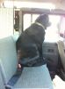 Filename : image.jpg
Filesize : 750KB
Dimensions : 1936x2592
Date added : Jan 14, 2014 image.jpg