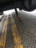 Filename : IMG_0151.jpg
Filesize : 1397KB
Dimensions : 1750x2333
Date added : Feb 02, 2019 IMG_0151.jpg