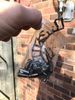 Filename : IMG_0157~0.jpg
Filesize : 760KB
Dimensions : 1750x2333
Date added : Feb 02, 2019 IMG_0157~0.jpg