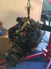 Filename : IMG_1631.JPG
Filesize : 762KB
Dimensions : 1750x2333
Date added : Dec 02, 2016 IMG_1631.JPG