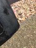 Filename : IMG_6699.JPG
Filesize : 1058KB
Dimensions : 1512x2016
Date added : May 25, 2017 IMG_6699.JPG