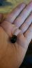 Filename : 20180811_201914.jpg
Filesize : 1307KB
Dimensions : 1750x3600
Date added : Aug 11, 2018 20180811_201914.jpg