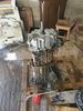 Filename : 20210612_182933.jpg
Filesize : 1175KB
Dimensions : 1750x2333
Date added : Jun 22, 2021 20210612_182933.jpg