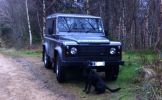Filename : defender3.jpg
Filesize : 603KB
Dimensions : 1743x1074
Date added : Apr 03, 2014 defender3.jpg