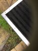 Filename : image~1.jpeg
Filesize : 1056KB
Dimensions : 1750x2333
Date added : May 19, 2016 image~1.jpeg