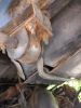 Filename : IMG_20180526_151626340.jpg
Filesize : 1249KB
Dimensions : 1750x2333
Date added : May 26, 2018 IMG_20180526_151626340.jpg