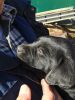 Filename : IMG_0590.JPG
Filesize : 1149KB
Dimensions : 1750x2333
Date added : May 02, 2016 IMG_0590.JPG