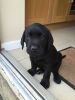 Filename : IMG_0660.JPG
Filesize : 636KB
Dimensions : 1750x2333
Date added : May 11, 2016 IMG_0660.JPG