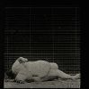 Filename : 200.gif
Filesize : 191KB
Dimensions : 198x200
Date added : Aug 05, 2015 200.gif