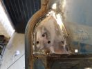 Filename : 20170331_155433.jpg
Filesize : 551KB
Dimensions : 1750x1312
Date added : Mar 31, 2017 20170331_155433.jpg