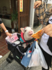 Filename : 6D6FE497-3F8F-4CF2-A38D-6F8C77031B79.png
Filesize : 1589KB
Dimensions : 750x1000
Date added : Oct 24, 2019 6D6FE497-3F8F-4CF2-A38D-6F8C77031B79.png