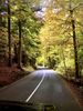 Filename : A91D75A6-6A75-4871-B468-DF48E0D099A4.jpeg
Filesize : 2731KB
Dimensions : 1750x2333
Date added : Oct 21, 2020 A91D75A6-6A75-4871-B468-DF48E0D099A4.jpeg