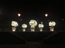 Filename : CEF374F1-37BE-4AF5-A68D-249BE2CF73DF.jpeg
Filesize : 352KB
Dimensions : 1750x1313
Date added : Dec 31, 2020 CEF374F1-37BE-4AF5-A68D-249BE2CF73DF.jpeg
