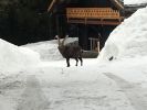 Filename : IMG_0497.jpg
Filesize : 274KB
Dimensions : 1750x1313
Date added : Jan 10, 2018 IMG_0497.jpg