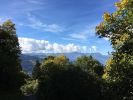 Filename : IMG_0588.PNG
Filesize : 2262KB
Dimensions : 1333x1000
Date added : Sep 24, 2017 IMG_0588.PNG
