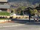 Filename : IMG_0995.jpg
Filesize : 580KB
Dimensions : 1750x1313
Date added : Oct 19, 2018 IMG_0995.jpg